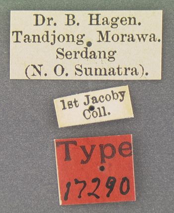 Media type: image; Entomology 17290   Aspect: labels